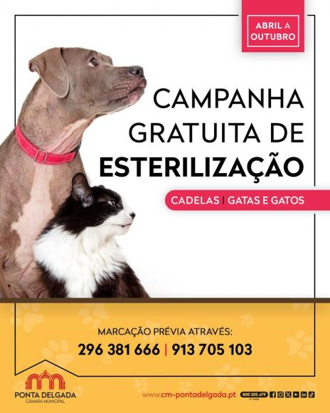 Campanha Gratuita de Esteriliza&ccedil;&atilde;o de Animais de Companhia 2026