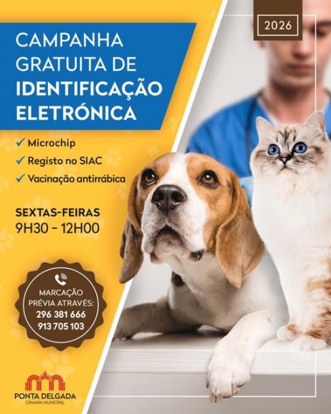 Ponta Delgada com Campanha de Identifica&ccedil;&atilde;o Animal Gratuita