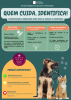 Campanha de Sensibiliza&ccedil;&atilde;o: "Quem cuida, identifica!" &ndash; Identifica&ccedil;&atilde;o e Registo de Animais de Companhia