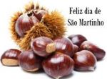 Dia de S&atilde;o Martinho