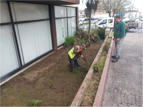 Manuten&ccedil;&atilde;o de Espa&ccedil;o Verdes - Av. D. Jo&atilde;o III