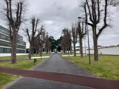 Alameda Duque de Bragan&ccedil;a (Relv&atilde;o)